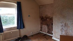 rising damp on walls
