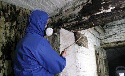 Wet rot treatment